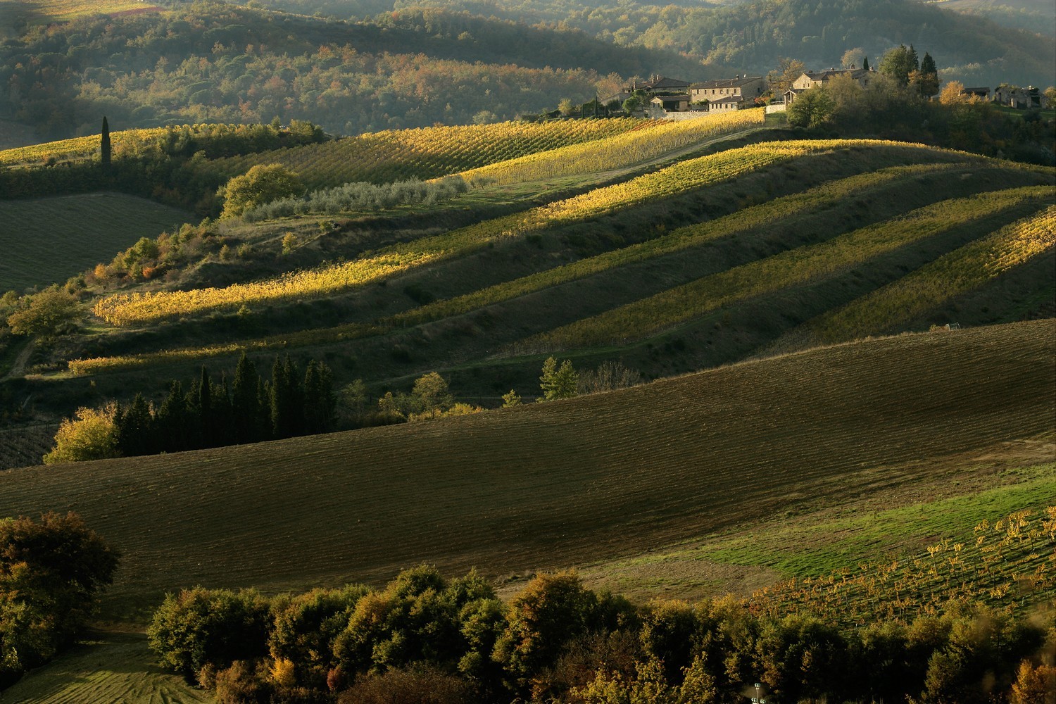Vino, approvato il piano integrato Distretto del Chianti: oltre ...